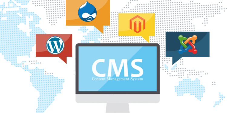 cms based websites