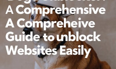 doge unblocker