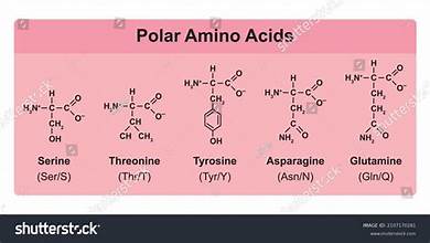 doctorhub360.com amino acids